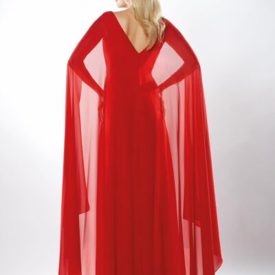 coleccion invitada richard moda fiesta (9)